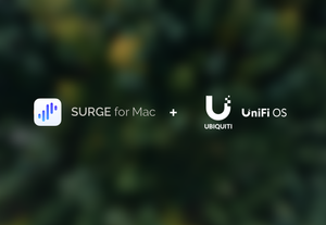 我的网络 —— UniFi 网关搭配 Surge 接管家庭设备